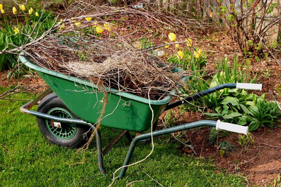 Green wheelbarrow filled with brown branches and yard debris beside yellow tulips — yard cleanup from the WisCO Complete Lawn Care site